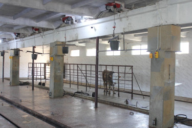 Göygöl rayonunda qurban bayramı ilə əlaqədar heyvan kəsimi məntəqələrinə baxış keçirilib