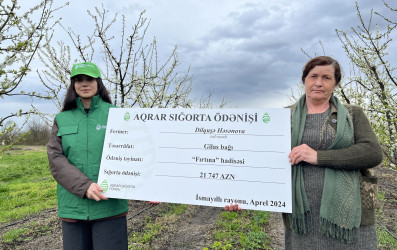 Meyvə bağlarının sığortalanma dövrü başlayıb