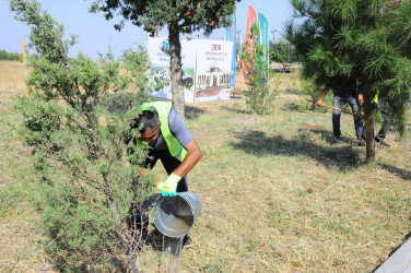 A tree-planting campaign dedicated to September 27 – Remembrance Day has been organized
