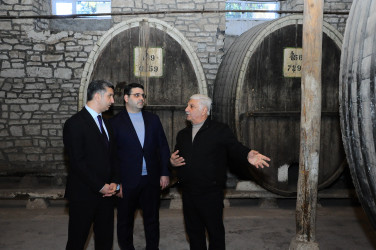 Göygöl Şərab Zavodu ilə tanışlıq