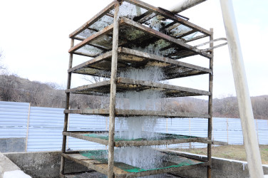 Introduction to the fish farming enterprise