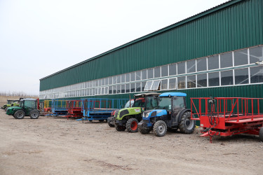 “Şirin Aqro” QSC-nin meyvə bağlarına baxış