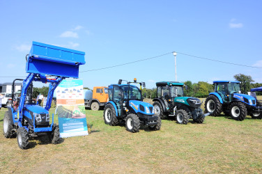 The 3rd Raspberry Festival is being held in Goygol district