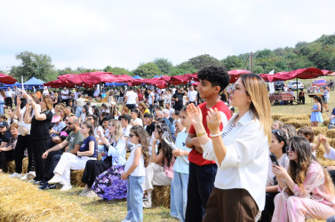 Festival zəngin proqramla yadda qaldı