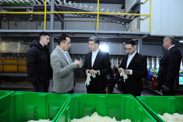 İstehsal müəssisəsi ilə tanışlıq