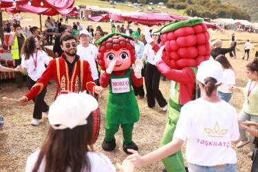 Проведён “III Moruq Fest”