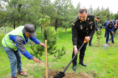 Ümummilli Lider Heydər Əliyev 103 il