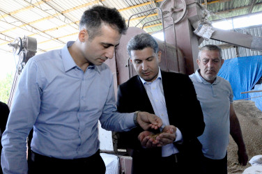 Göygöl rayonunda aqrar sektorun inkişafı diqqət mərkəzindədir