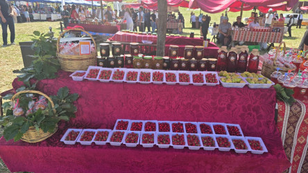 III Moruq Festivalına start verilib