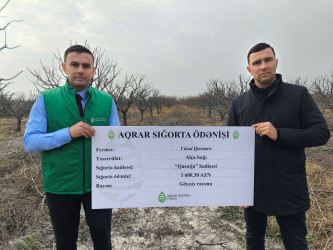 Meyvə bağlarının sığortalanma dövrü başlayıb