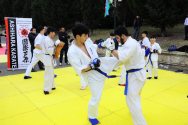 A Novruz celebration was held in the Goygol district