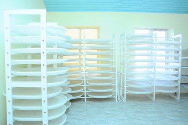 İnstitutla tanışlıq