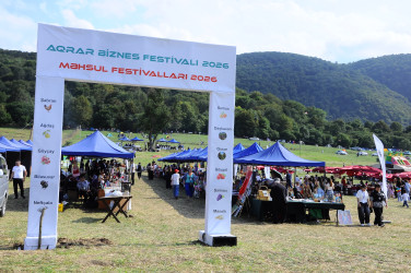 The 3rd Raspberry Festival is being held in Goygol district