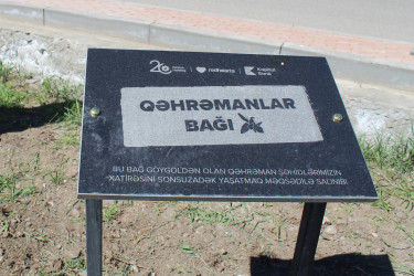 Göygöldə ağacəkmə aksiyası keçirilib