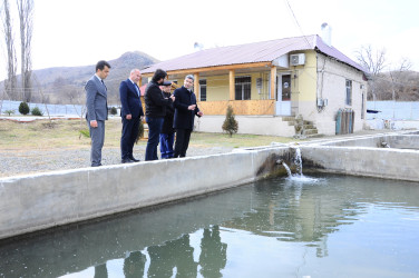 Introduction to the fish farming enterprise