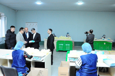 İstehsal müəssisəsi ilə tanışlıq