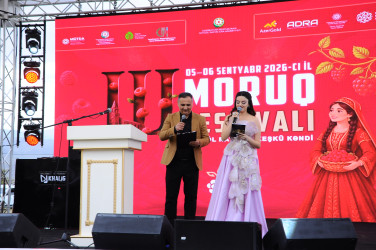 The 3rd Raspberry Festival is being held in Goygol district