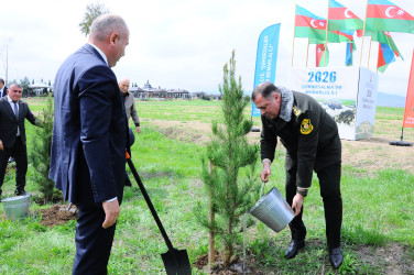 A tree-planting event was held