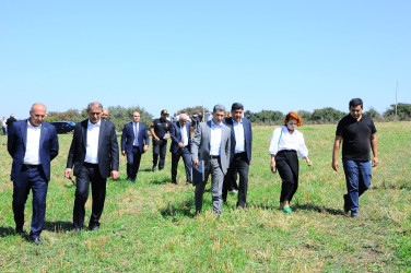 III Moruq Festivalının hazırlıq işləri ilə tanışlıq