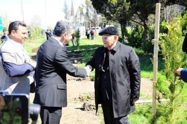 A tree-planting campaign was held in Goygol