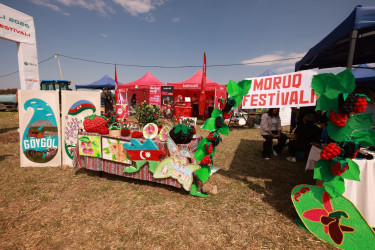 Göygöl rayonunda “III Moruq Festivalı” keçirilir