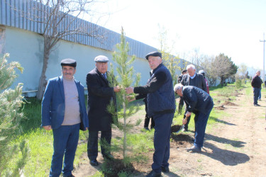 A tree-planting campaign was held in Goygol
