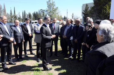 A tree-planting campaign was held in Goygol