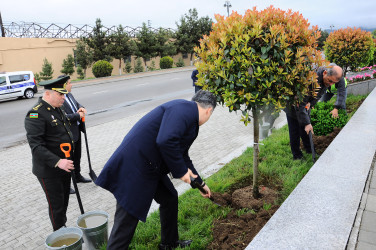 Yaşıllaşdırma işləri davam etdirilir
