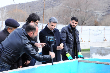 Introduction to the fish farming enterprise