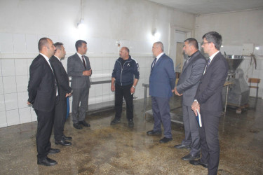 Göygöl Rayon İcra Hakimiyyəti yanında Məşğulluğa kömək göstərən Əlaqələndirmə Komitəsi müəssisədə görüş keçirib