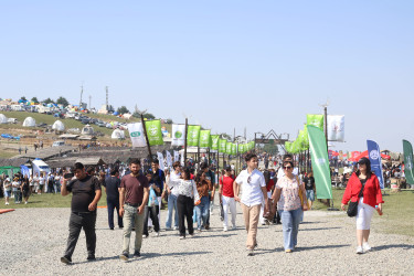 Göygöl rayonunda təşkil olunmuş V Milli Yaylaq Festivalı uğurla başa çatdı