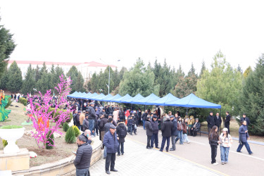 В Гёйгёльском районе проведены  празднования Новруза