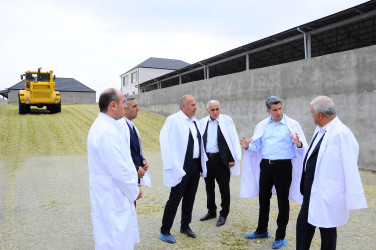 Heyvandarlıq kompleksi ilə tanışlıq