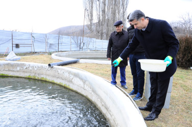 Introduction to the fish farming enterprise