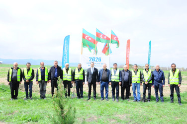 A tree-planting event was held