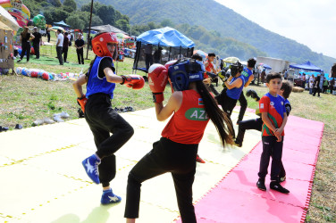 Göygöl rayonunda “III Moruq Festivalı” keçirilir