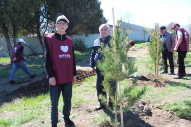 A tree-planting campaign was held in Goygol