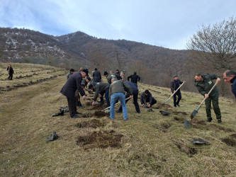 A tree-planting campaign was held