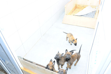 ANAMA müdavimləri ilə görüş keçirilib