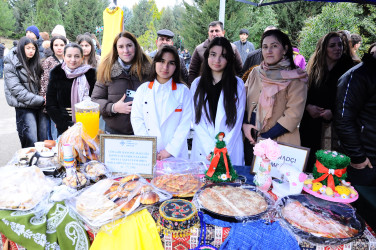 A Novruz celebration was held in the Goygol district