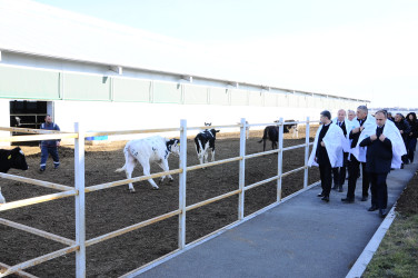 İnstitutla tanışlıq