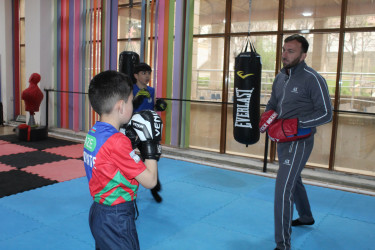 World Health Day marked