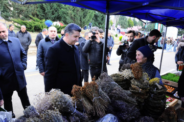 A Novruz celebration was held in the Goygol district