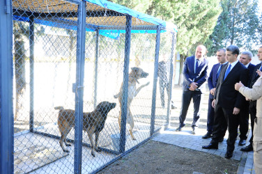 ANAMA müdavimləri ilə görüş keçirilib