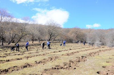 A tree planting campaign has been held