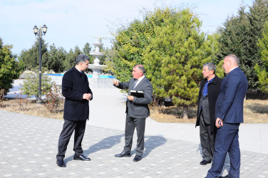 Parka baxış keçirilib