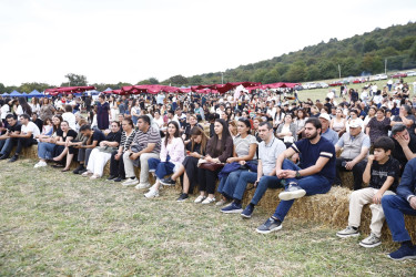 The 3rd Raspberry Festival is being held in Goygol district