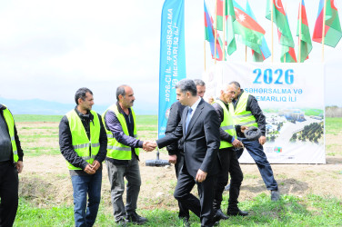 Ağacəkmə aksiyası keçirilib