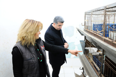 İnstitutla tanışlıq