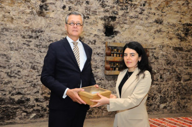 The German Ambassador to Azerbaijan has visited Goygol district
